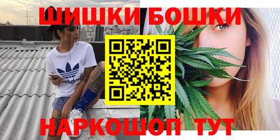 прущие грибы Пугачёв